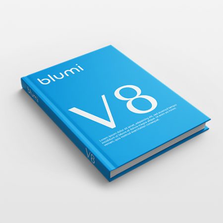 Kniha V8